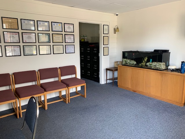 Waiting area with aquarium, certificates and maroon chairs